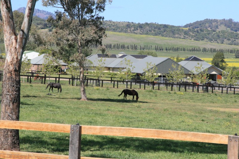 Hunter Valley Farms004.JPG